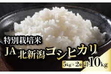 令和5年産 JA北新潟コシヒカリ5㎏×2袋 特別栽培米【 新潟県産 新発田産 米 コシヒカリ JA北新潟 特別栽培米 5kg 2袋 10kg D04 】
