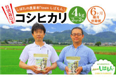 【R7年産先行予約】 新米 隔月定期便 4kg×隔月6回 新潟県産 特別栽培米コシヒカリ 新潟県 新潟産 新発田産 米 コシヒカリ 特別栽培米 しばもん 2kg 6回 定期便 隔月 D35_03
