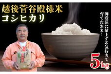 新潟県産 越後菅谷殿様米 5㎏ 令和6年産 【 新潟県産 新発田産 米 5kg 越後菅谷 殿様米 コシヒカリ D05_03 】