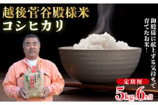 【定期便】令和6年産 新潟県産 越後菅谷殿様米 5㎏×6ヵ月【 新潟県 新潟産 新発田産 米 コシヒカリ 特別栽培米 越後菅谷米販売 5kg 6ヵ月 定期便  殿様 数量限定  】