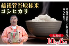 【定期便】令和6年産 新潟県産 越後菅谷殿様米 10㎏×6ヵ月【 新潟県 新潟産 新発田産 米 コシヒカリ 特別栽培米 越後菅谷米販売 10kg 6ヵ月 定期便  殿様  数量限定 】