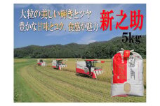 令和6年産 新潟県産 越後菅谷 新之助 5㎏【 新潟県産 新発田産 米 5kg 越後菅谷 新之助 数量限定 】 D18_02