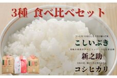 令和6年産 越後菅谷米食べ比べセット 2kg×3袋 新潟産 新発田市 米 食べ比べ セット コシヒカリ 新之助 こしいぶき 殿様米 菅谷 2kg 3袋 数量限定 