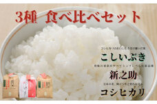 令和6年産 越後菅谷米食べ比べセット 2kg×3袋 新潟産 新発田市 米 食べ比べ セット コシヒカリ 新之助 こしいぶき 殿様米 菅谷 2kg 3袋 数量限定 
