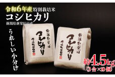 令和6年産 新潟県産 特別栽培米 コシヒカリ 3合×10袋 米 定期便 約4.5kg 精米 玄米 自宅用 家庭用 贈答用 使い切り ギフト お祝い 白米 お弁当 おにぎり ご飯 ごはん 人気 おすすめ 新潟県 新発田市 小分け