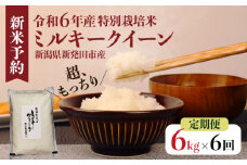 【定期便】令和6年産 新潟県産 ミルキークイーン 2kg×3袋×6か月 新潟県 新潟産 新発田市 米 お米 白米 ごはん 玄米 精米 国産 ミルキークイーン ふっくら もっちり 定期便 6ヶ月 36kg 6kg つやつや もちもち ご飯 お弁当 おにぎり コシヒカリ 低温貯蔵 佐々木耕起組合