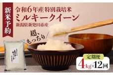 【定期便】令和6年産 新潟県産 お米 2kg × 2袋 × 12か月 ミルキークイーン 令和5年産 米 お米 コメ おコメ こめ 新潟県 新潟産 新発田産 米 ミルキークイーン 佐々木耕起組合 2kg 12ヵ月 4kg 48㎏ 定期便 夕食 晩ごはん 