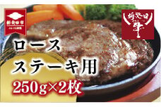 国産 新発田牛 ロース ステーキ用 500g ( 250g × 2枚 ) 牛肉 ブランド 和牛 にいがた和牛 黒毛和牛 先崎畜産 牛ロース ロース肉 冷凍 ギフト プレゼント 贈答 熨斗 包装 お祝い お取り寄せ 人気 おすすめ 新潟県 新発田市