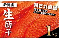 【朝どれ直送】筋子 生筋子 1kg 令和7年産 いくら 鮭 生いくら 海鮮 鮮魚 朝どれ 朝採れ とれたて 国産 新潟県産 お正月 おせち 年末 年始 贈答 J41_02