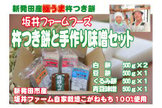 ふるさと直送！杵つき餅と手作り味噌セット 【 新潟県 新潟産 新潟米 新発田産 新発田 餅 もち 味噌 セット豆餅 くるみ餅 数量限定 C25_01 】