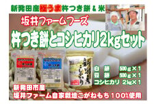 杵つき餅2種と特別栽培米コシヒカリ(2kg)セット 【 ふるさと直送 産地直送 セット 餅 もち こめ おこめ 米 2kg 3kg 新潟県 新潟産 コシヒカリ せいだ 新潟 新発田 C46_01 】