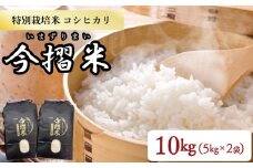 令和6年産 JA北新潟 特別栽培米コシヒカリ 5㎏×2袋 今摺米【 新潟県産 新発田 特別栽培米 コシヒカリ 5kg 2袋 今ずり米 JA北新潟 10kg D50_01 】