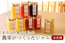 果物 ジャム 6種セット 農家の自家製ジャム 1瓶150g 自家製  詰合せ 手作り フルーツ りんご ル・レクチェ 桃 いちじく 和梨 ブルーベリー パン ヨーグルト 菓子 ケーキ 贈り物 ギフト 洋梨 もも なし 高橋農園 新潟 新発田 C55 