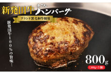 国産 牛 100％使用 真空 生ハンバーグ 5個入 160×5個 計800g 先崎畜産 新発田牛 【肉 加工品 国産 牛 100% 手捏ね 手ごね 生 ハンバーグ 冷凍 5個  800g のし 熨斗 