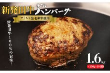 国産 牛 100％使用 真空 生ハンバーグ 10個入 160×10個 計1600g 先崎畜産 新発田牛 【肉 加工品 国産 牛 100% 手捏ね 手ごね 生 ハンバーグ 冷凍 10個  1600g のし 熨斗 】