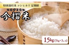 【定期便】 令和6年産 特別栽培米コシヒカリ 5㎏×1袋×3か月 今摺米【 新潟県 新発田市 JA北新潟 コシヒカリ 特別栽培米 定期便 3か月 5㎏ 米  今ずり米 新潟県 新発田市 D6001 】