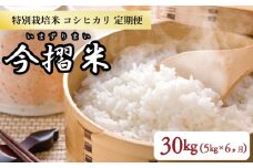 【定期便】 令和6年産 特別栽培米コシヒカリ 5㎏×1袋×6か月 今摺米【 新潟県 新発田市 JA北新潟 コシヒカリ 特別栽培米 定期便 6か月 5㎏ 米 今ずり米 新潟県 新発田市 D6101　】