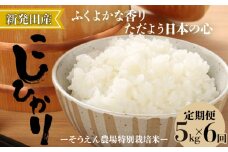 【定期便】 令和6年産 そうえん米コシヒカリ 5㎏×6か月 【 新潟県 新潟産 新潟米 新発田産 新発田 お米 米 コシヒカリ とんとん市場 せいだ そうえん米 5kg 30kg 6か月 半年 定期便 数量限定  D11_02 】