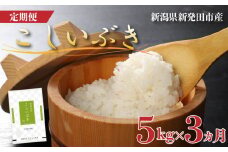 【定期便】 令和6年産 新潟県産こしいぶき 5㎏×3か月 【 新潟県 新潟産 新潟米 新発田産 新発田 お米 米 こしいぶき とんとん市場 せいだ 5kg 15kg 3か月 定期便 数量限定 玄米 D58_02 】