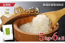 【定期便】 令和6年産 新潟県産 こしいぶき 5㎏×6か月 【 新潟県 新潟産 新潟米 新発田産 新発田 お米 米 こしいぶき とんとん市場 せいだ 5kg 30kg 6か月 半年 定期便 数量限定 玄米 D56_02 】　