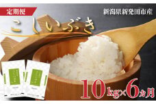 【定期便】 令和6年産 新潟産こしいぶき 10㎏×6か月 【 新潟県 新潟産 新潟米 新発田産 新発田 お米 米 こしいぶき とんとん市場 せいだ 5kg 10kg 60kg 2袋 6か月 半年 定期便 数量限定 玄米 D57_02 】