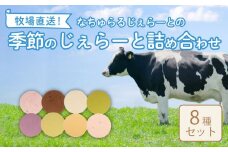 なかの牧場なちゅらるじぇらーとセット ８個入  【 ミルク チョコ ブルーベリー チーズ ピスタチオ 塩 キャラメル アイス ジェラート セット 季節 てづくり なちゅらるじぇらーと なかの牧場 8個  F04_01 】