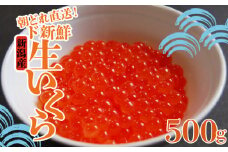 令和6年産 生イクラ 500g 【 いくら 鮭 生いくら 海鮮 鮮魚 朝どれ 朝採れ とれたて 国産 新潟県産 お正月 おせち 年末 年始 贈答 予約 いくら 魚水島】