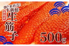 令和6年産 生筋子 500g【 いくら 鮭 生いくら 海鮮 鮮魚 朝どれ 朝採れ とれたて 国産 新潟県産 お正月 おせち 年末 年始 贈答 予約 いくら はらこ 筋子 魚水島】