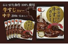 牛すじ カレー 6個 セット 200g×6 中辛 パック 牛肉 肉 和牛 保存食 備蓄 レトルト 新発田市 新潟 新発田牛 厳選和牛 贅沢 牛肉 国産 ご飯 にいがた ブランド牛 備蓄食 保存 贈答 プレゼント おすすめ お取り寄せ 家族  H23_01 