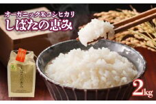 新潟県産 オーガニック米コシヒカリ 2㎏ 【 令和6年産 新潟県産 米 コシヒカリ 有機米 有機栽培 有機 オーガニック 2kg 新発田産 数量限定  】