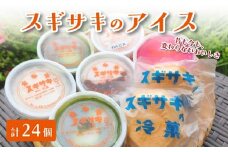 スギサキの懐かしの白アイスセット 24個入【 寿堂 新発田市 新潟 スギサキ 白アイス モナカ 懐かしい 素朴 カルピスアイス 父の日 F05_02 】