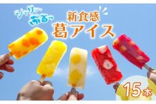 葛アイス 15本 溶けない アイス アイスバー フルーツ 果物 葛バー くずバー ジェラート シャーベット アイス 低カロリー 果実 たっぷり スイーツセット 本葛 新潟 新潟県 新発田 F07_01