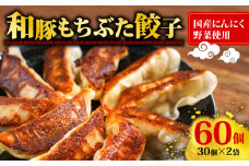 餃子 冷凍 30個 × 2袋 計 60個入り 和豚もちぶた 赤身 ニンニク 生姜 国産 野菜 使用 冷凍餃子 簡単 焼くだけ ギョウザ ぎょうざ 解凍 お手軽 楽 おいしい こだわり 豚肉 ぶた 豚 肉 にんにく ショウガ 餃子 簡単調理 冷凍食品 中華料理 点心 中華 おかず 惣菜 弁当 おつまみ お子様 大容量 新潟県 新発田