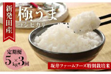 【定期便5kg × 3か月】令和6年産 新潟県産 コシヒカリ 特別栽培米 坂井ファーム 【 米 お米 5kg 15kg 3か月 新潟 新発田 D72_01 】