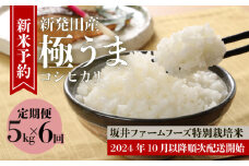 【5kg×6か月】 令和6年産 先行予約 新潟 特別栽培米コシヒカリ 坂井ファーム 【 米 お米 定期便 新米 予約 5kg 30kg 6か月 新潟 新発田 コシヒカリ D74_01Y 】
