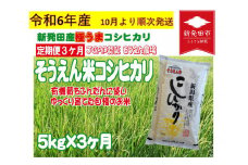 【先行予約】 定期便 令和6年産 新潟 そうえん米コシヒカリ 5㎏×3か月  【 先行予約 新潟県 新潟産 新潟米 新発田産 新発田 お米 米 コシヒカリ とんとん市場 せいだ そうえん米 5kg 15kg 3か月 定期便 数量限定 D38_02Y 】