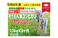 【先行予約】 定期便 令和6年産 新潟 そうえん米コシヒカリ 10㎏×3か月 【 先行予約 新潟県 新潟産 新潟米 新発田産 新発田 お米 米 コシヒカリ とんとん市場 せいだ そうえん米 5kg 10kg 30kg 3か月 定期便 数量限定 D39_02Y 】