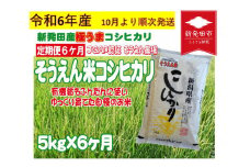【先行予約】 定期便 令和6年産 新潟 そうえん米コシヒカリ 5㎏×6か月 【 先行予約 新潟県 新潟産 新潟米 新発田産 新発田 お米 米 コシヒカリ とんとん市場 せいだ そうえん米 5kg 30kg 6か月 半年 定期便 数量限定  D11_02Y 】