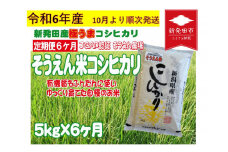 【先行予約】 定期便 令和6年産 新潟 そうえん米コシヒカリ 5㎏×6か月 【 先行予約 新潟県 新潟産 新潟米 新発田産 新発田 お米 米 コシヒカリ とんとん市場 せいだ そうえん米 5kg 30kg 6か月 半年 定期便 数量限定  D11_02Y 】