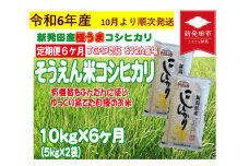 【先行予約】 定期便 令和6年産 新潟 そうえん米コシヒカリ 10㎏×6か月  【 先行予約 新潟県 新潟産 新潟米 新発田産 新発田 お米 米 コシヒカリ とんとん市場 せいだ そうえん米 10kg 60kg 6か月 半年 定期便 数量限定 D12_02Y 】