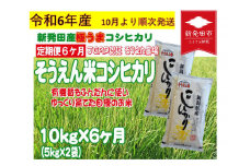 【先行予約】 定期便 令和6年産 新潟 そうえん米コシヒカリ 10㎏×6か月  【 先行予約 新潟県 新潟産 新潟米 新発田産 新発田 お米 米 コシヒカリ とんとん市場 せいだ そうえん米 10kg 60kg 6か月 半年 定期便 数量限定 D12_02Y 】