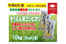 【先行予約】令和6年産 新潟 そうえん米コシヒカリ 5kg×2袋 【  新潟県 新潟産 新潟米 新発田産 新発田 お米 米 コシヒカリ とんとん市場 せいだ そうえん米 5kg 2袋 10kg 数量限定 D09_02Y 】