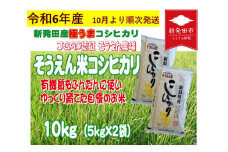 【先行予約】令和6年産 新潟 そうえん米コシヒカリ 5kg×2袋 【  新潟県 新潟産 新潟米 新発田産 新発田 お米 米 コシヒカリ とんとん市場 せいだ そうえん米 5kg 2袋 10kg 数量限定 D09_02Y 】