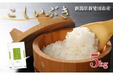 令和6年産 新潟県産こしいぶき 5kg 【 新潟県 新潟産 新潟米 新発田産 新発田 お米 米 こしいぶき とんとん市場 せいだ 5kg 数量限定 玄米 D85_02 】