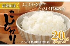 令和6年産 新潟県産 そうえん米コシヒカリ 20kg 5kg×4袋【  新潟県 新潟産 新潟米 新発田産 新発田 お米 米 玄米 コシヒカリ とんとん市場 せいだ そうえん米 5kg 20kg 4袋 数量限定 D82_01 】