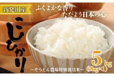令和6年産 新潟県産 そうえん米コシヒカリ 5kg 【  新潟県 新潟産 新潟米 新発田産 新発田 お米 米 玄米 コシヒカリ とんとん市場 せいだ そうえん米 5kg 数量限定 D81_01 】