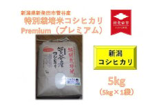 【令和6年産先行予約】新潟産コシヒカリ 5kg 特別栽培米 新発田産 【 先行予約 新潟県 新発田市 米 新米 コシヒカリ 菅谷 玄米  5kg D78_01Y 】