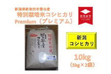 【令和6年産先行予約】新潟産コシヒカリ 10kg 5kg×2袋 特別栽培米 新発田産 【 先行予約 新潟県 新発田市 米 新米 コシヒカリ 菅谷 玄米  10kg D79_01Y 】