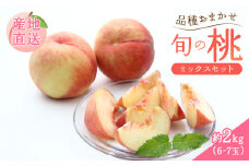 【2025年発送 先行予約】 桃 品種おまかせ 約2kg（6-7玉） 果物 もも モモ 白桃 甘い フルーツ 高橋農園  新潟県 新発田市