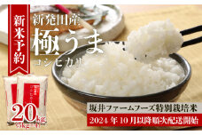 令和6年産 先行予約 新潟 特別栽培米コシヒカリ 20kg 5kg×4袋 坂井ファーム 【 新潟 新発田 米 新米予約 予約 こしひかり 20kg 5kg D84_Y 】
